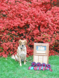 Jazz (Roux's Steamin' Red Hot Blues CD RE JH NAJ WC) and her many awards