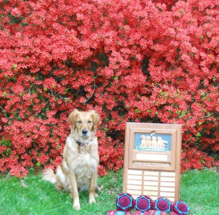 Jazz (Roux's Steamin' Red Hot Blues CD RE JH NAJ WC) and her many awards