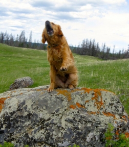 Raisin's celebrates earning her master hunter title