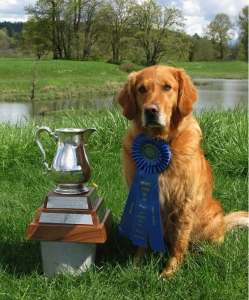 Raisin wins field trophy
