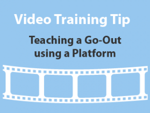 training-tips-platform