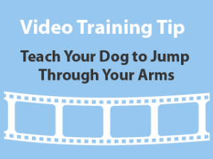 training-tip-jump through your arms