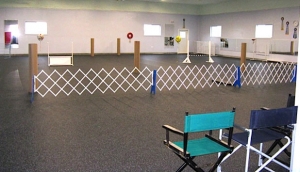 Dog Training Facility - the Mighty Hall - 4000 square feet of Matted Goodness