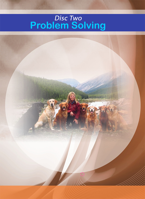 Janice Gunn's Proofing and Problem Solving DVD