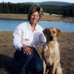 Labrador Retriever Puppy Gunner