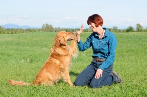 Dog trainer, Janice Gunn, High Fives Golden Retriever
