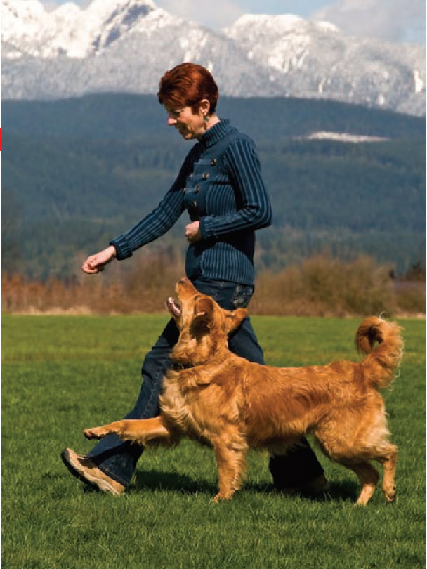 Teaching heel to outlet a dog