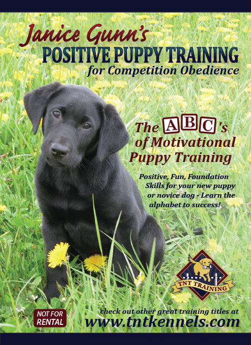 Step by Step Training DVD Set (Novice through Utility) - TNT