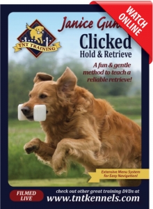 clicked-hold-retrieve-online-video