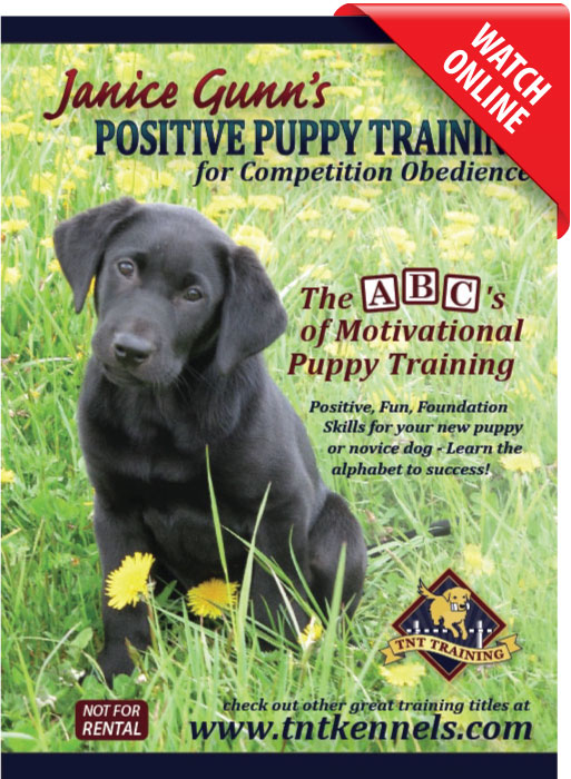 Positive Puppy Training by Janice Gunn
