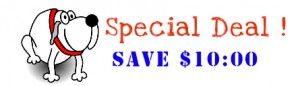 Special deal