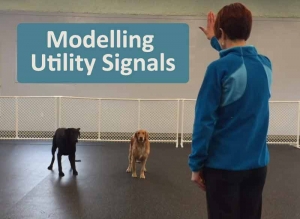 modelling utility signals - video training tip
