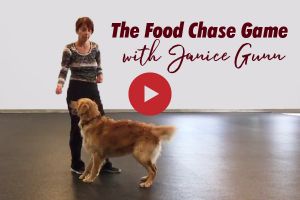 Janice Gunn's Food Chase Game - video dog training tip
