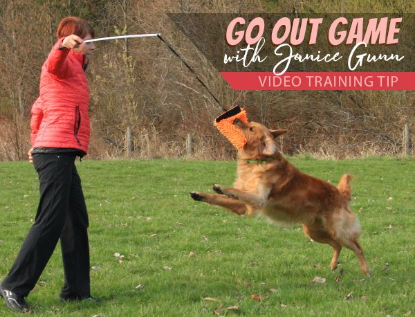 Go Out Game - video training tip by Janice Gunn