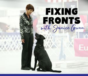 fixing fronts with Janice Gunn