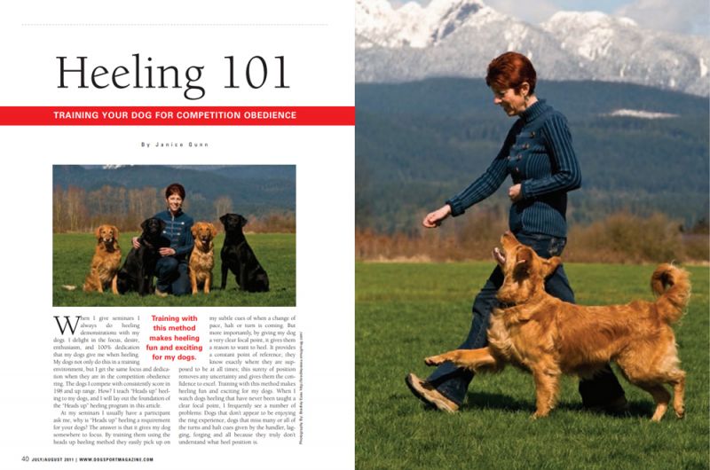 Heeling 101 by Janice Gunn