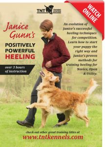 Janice Gunn's Positively Powerful Heeling