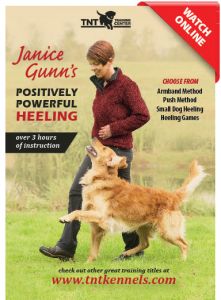 positively powerful heeling by Janice Gunn