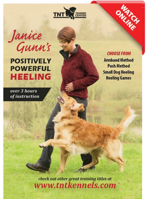 Positively Powerful Heeling by Janice Gunn