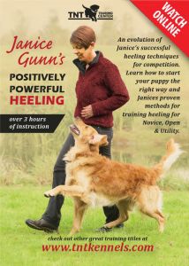 Janice Gunn's Positively Powerful Heeling Video Training
