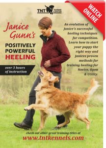 Positively Powerful Heeling by Janice Gunn