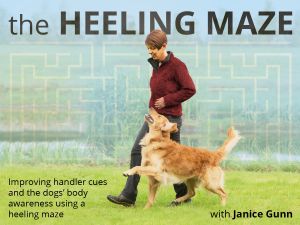 obedience heeling exercise - the Heeling Maze with Janice Gunn