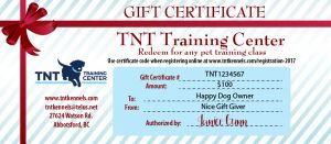 TNT Training Dog Training Class - Gift Certificate