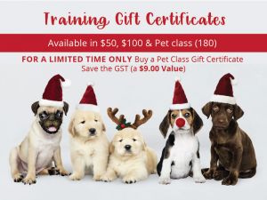 dog training gift certificates