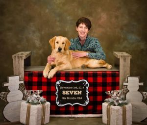 golden retriever: Seven