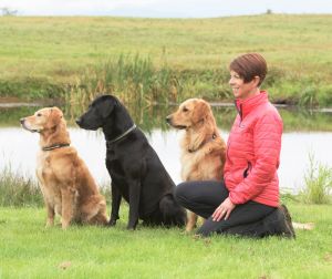 dog trainer Janice Gunn with three of her retrievers - Pounce, Remi and Sparks