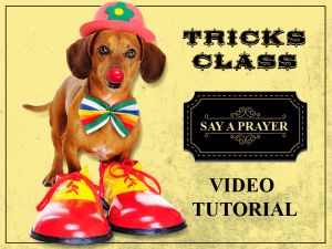 Teach you dog to say a prayer