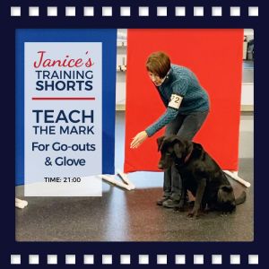 teaching your dog marks for the go-out and glove exercise
