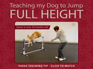 Jump training