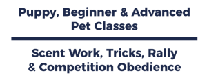 Puppy, Beginner & Advanced Pet Classes