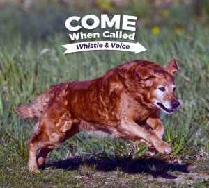 Come When Called - Whistle & Voice