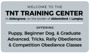dog training classes at tnt including puppy, dog, trick, rally and competition obedience