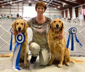 Seven and Sparks both score 199 at obedience trial