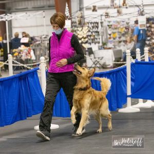 Seven Heeling