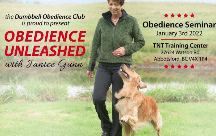 Janice Gunn Obedience Seminar