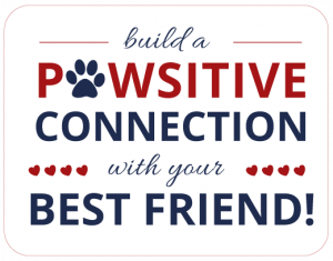 build a positive connection with your best friend