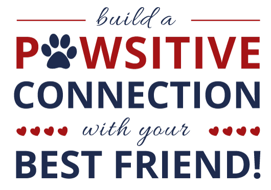 build a positive connection with your best friend!