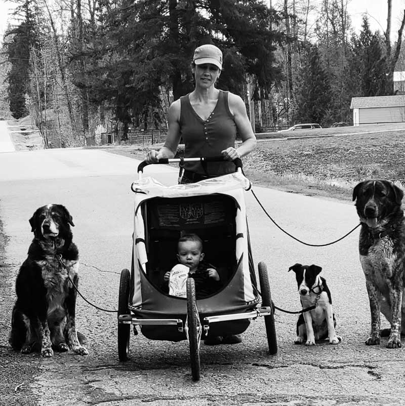 dog trainer, Kat Vavrovic, with leash trained dogs