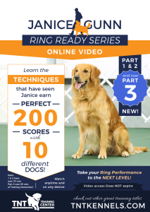 Ring Ready full series cover 2026