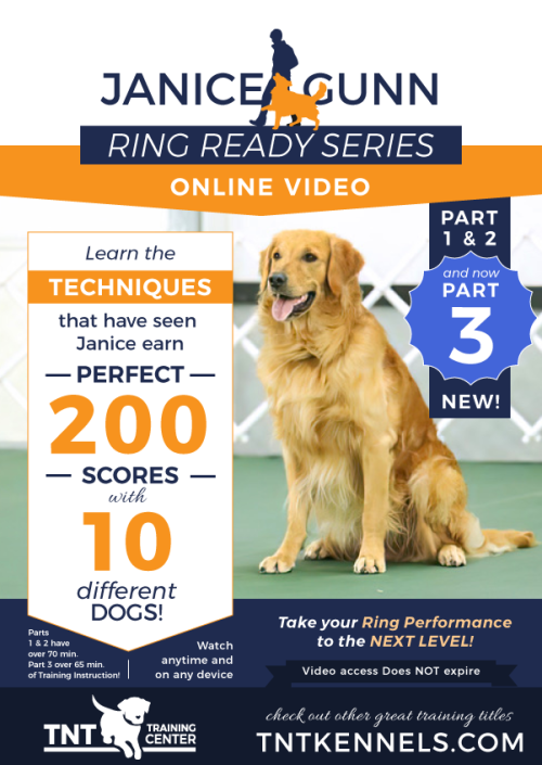 Ring Ready full series cover 2026
