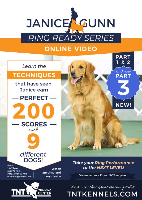 Ring Ready Series now with Part 3