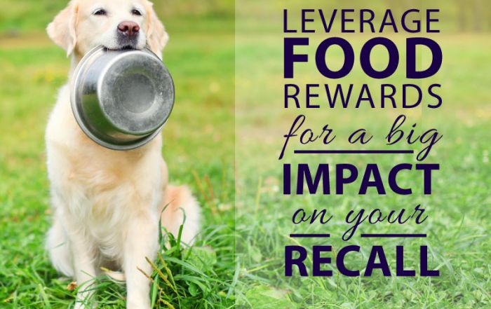 Leverage food for a faster recall