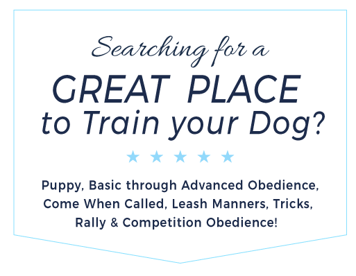 searching for a great place to train your dog