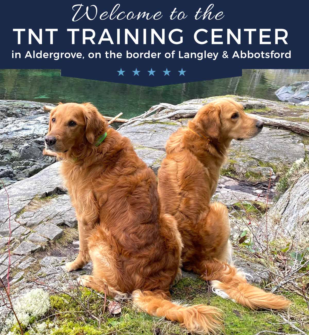 welcome to the TNT training center