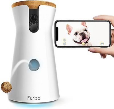 dog treat camera that lets you talk and give treats to your dog