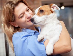 veterinarian with terrier